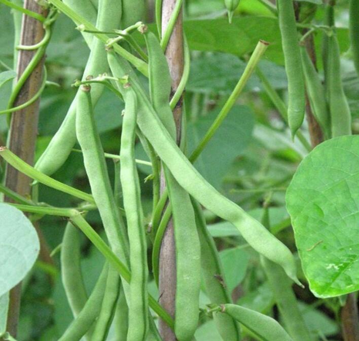 1520580540966041.jpg 3.jpg